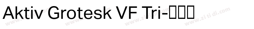 Aktiv Grotesk VF Tri字体转换